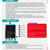 6.5 Inch LCD Writing Tablet